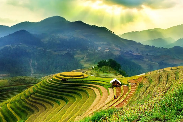 Vietnam Art Adventure